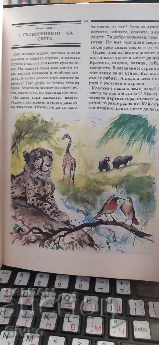Biblie pentru copii, cu multe ilustrații frumoase - 7