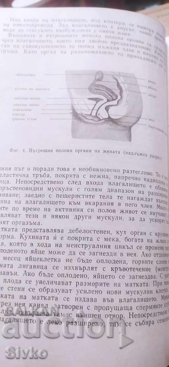 Auction  Man and Woman Intimately, Siegfried Schnabl