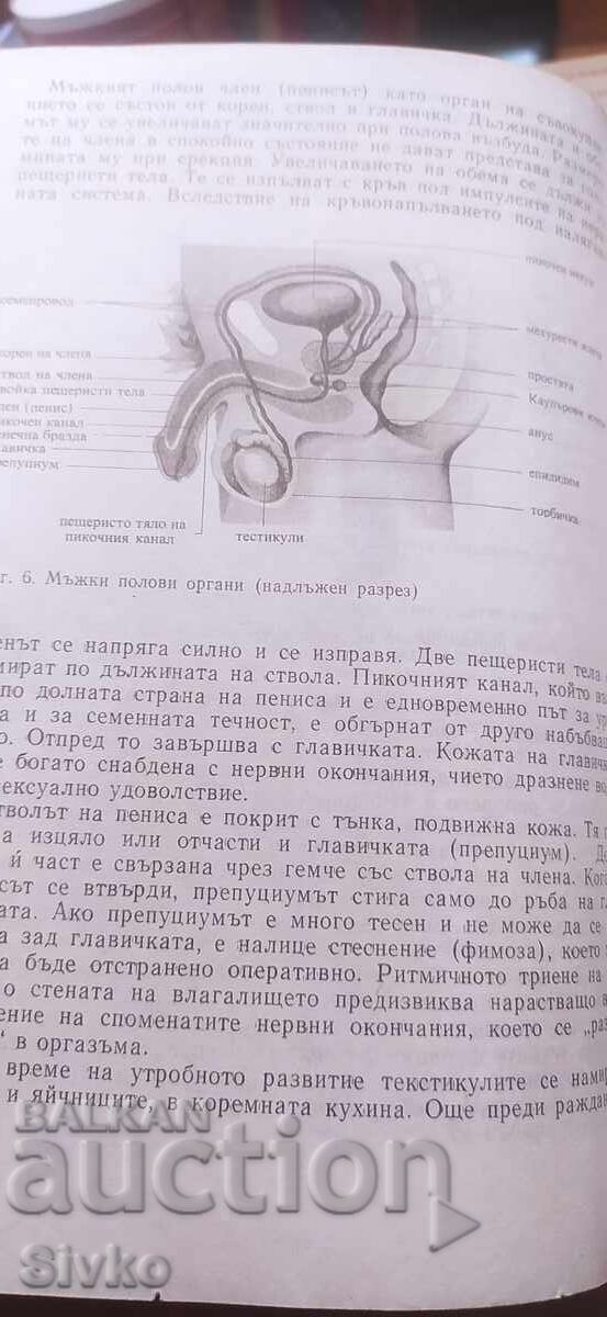 Delivery of Man and Woman Intimately, Siegfried Schnabl