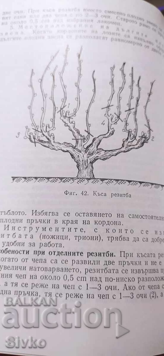 Аукцион Справочник по лозарство