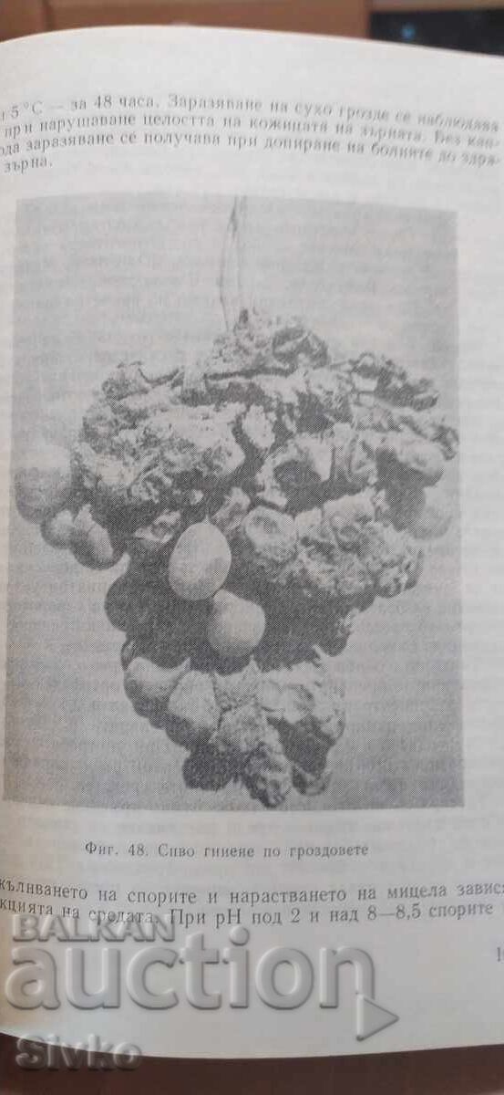 Доставка на Справочник по лозарство