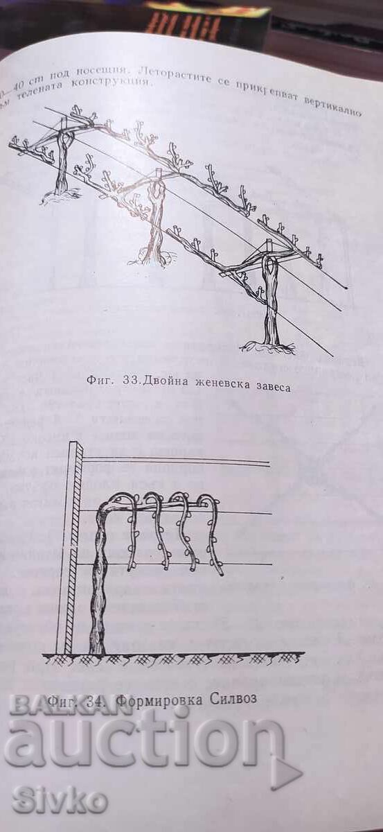 Справочник по лозарство - 5