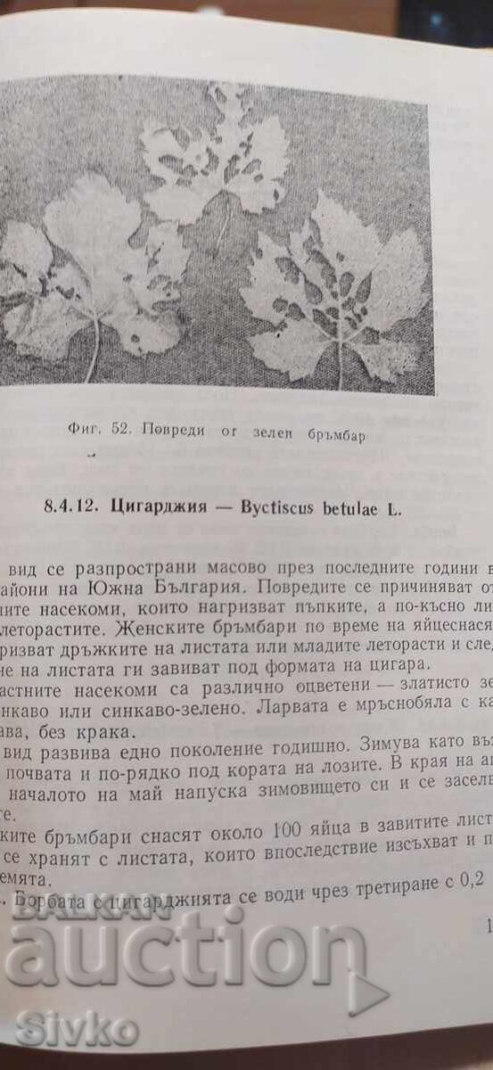 Справочник по лозарство