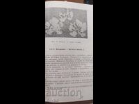 Справочник по лозарство