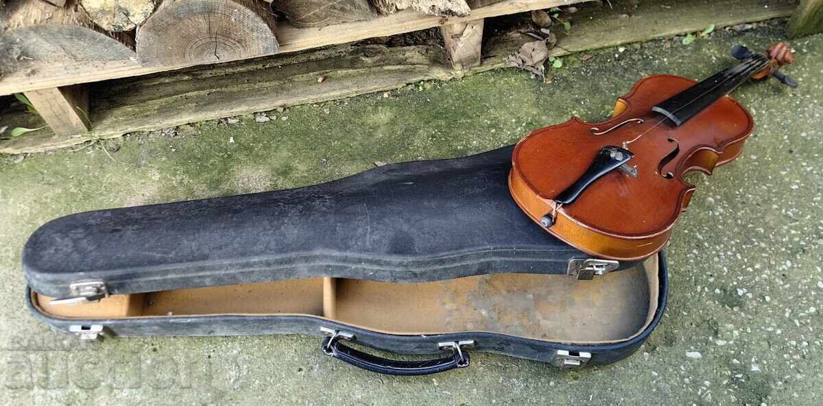 Доставка на ЦИГУЛКА КАЛЪФ ЗА РЕСТАВРАЦИЯ ИЛИ ИНТЕРИОР ДЕКОРАЦИЯ