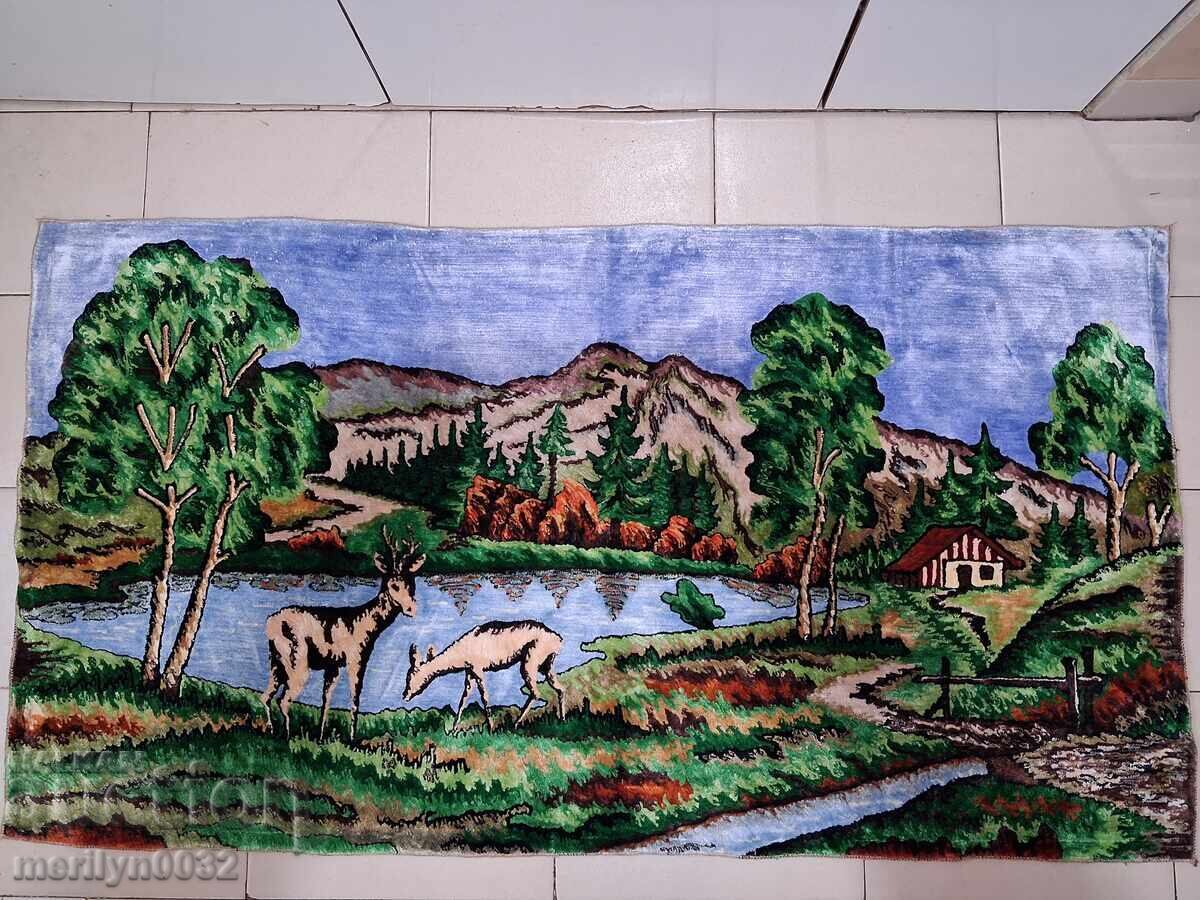 Covor vechi de perete de pluș, covor, panou, poză covor