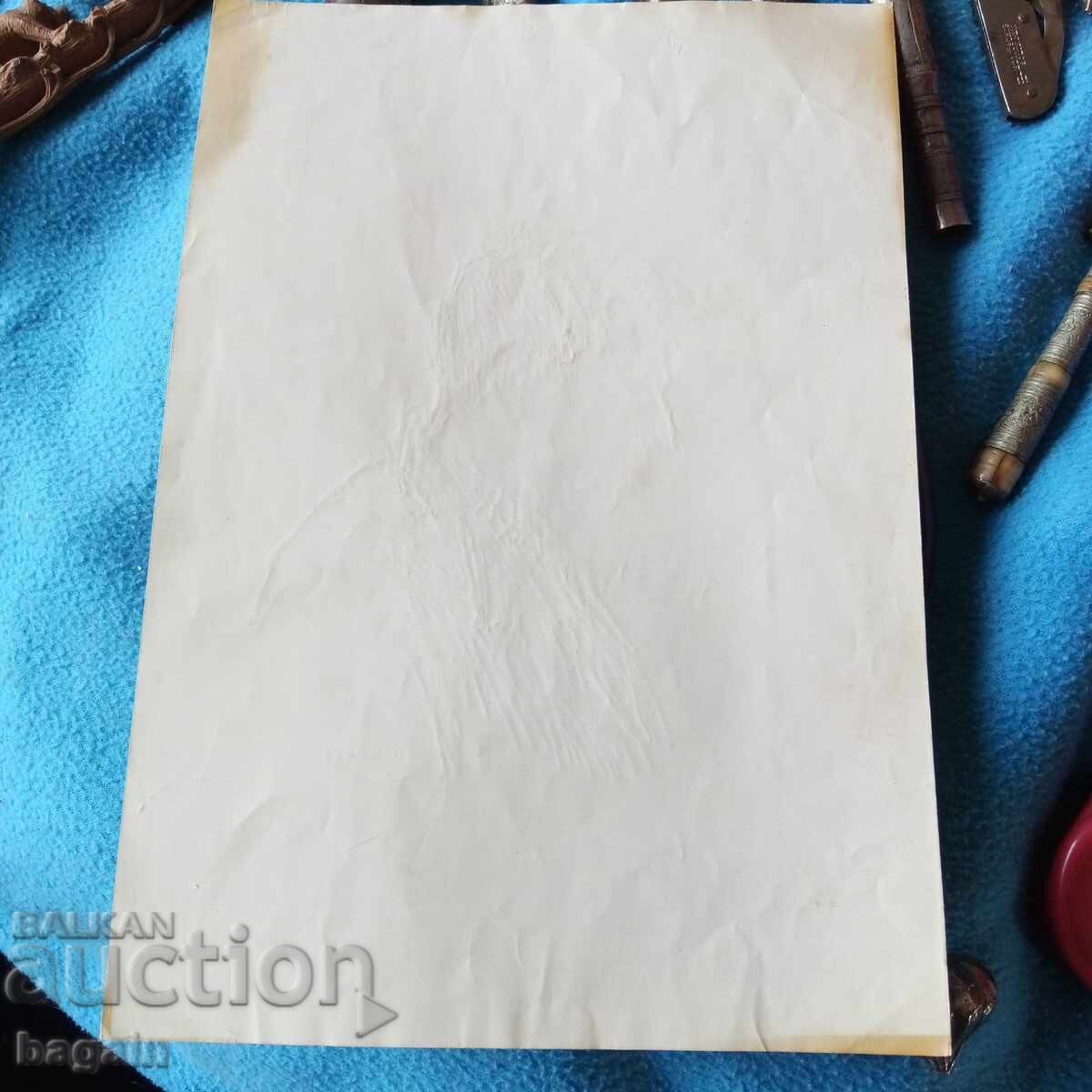 Auction  Graphics, drawing, ink. Bulgarian author