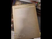 Dimcho Debelyanov volumul unu