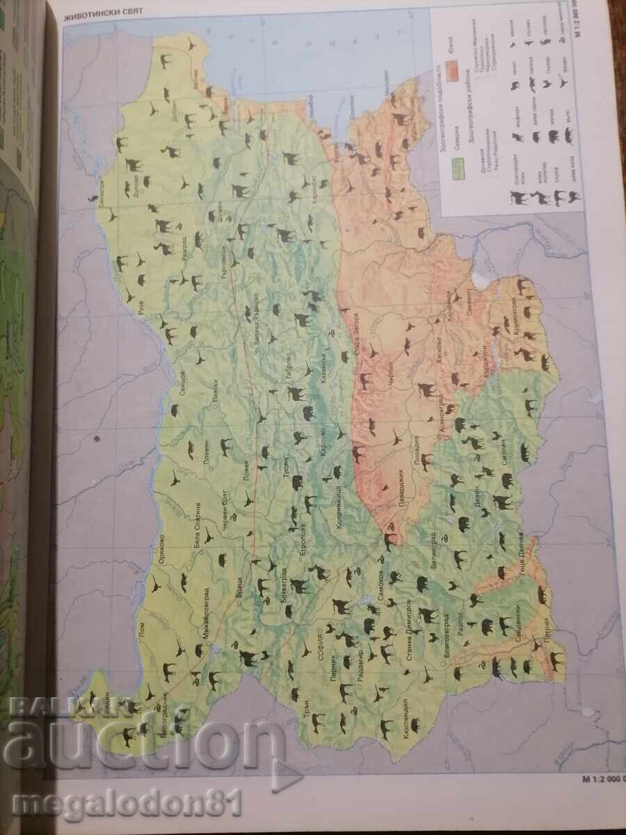 Аукцион Атлас физическа география на България