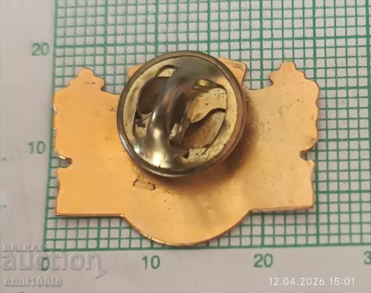 Badge - Construction Troops Bulgarian Army - 6