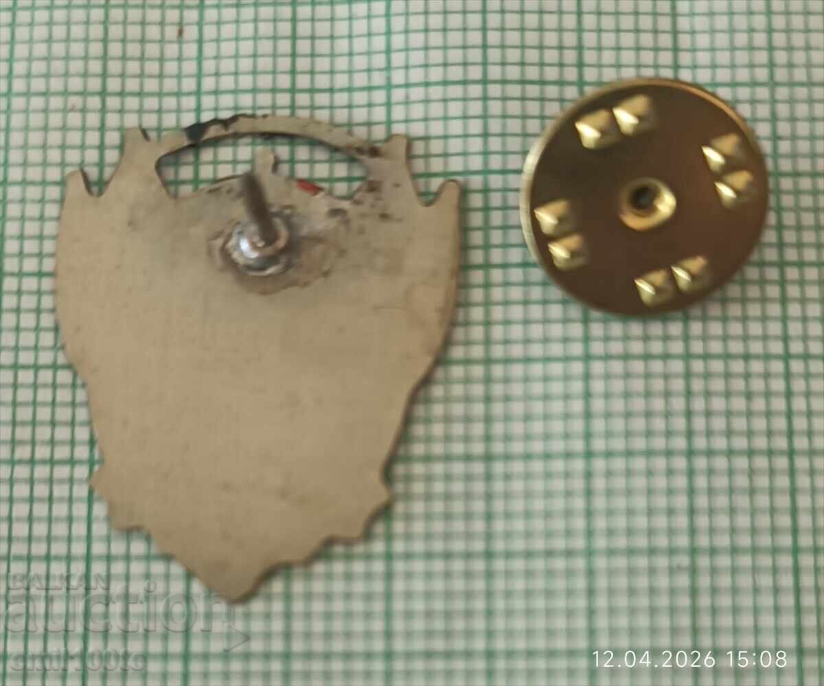 Insignă - Police Corp. ? - 6