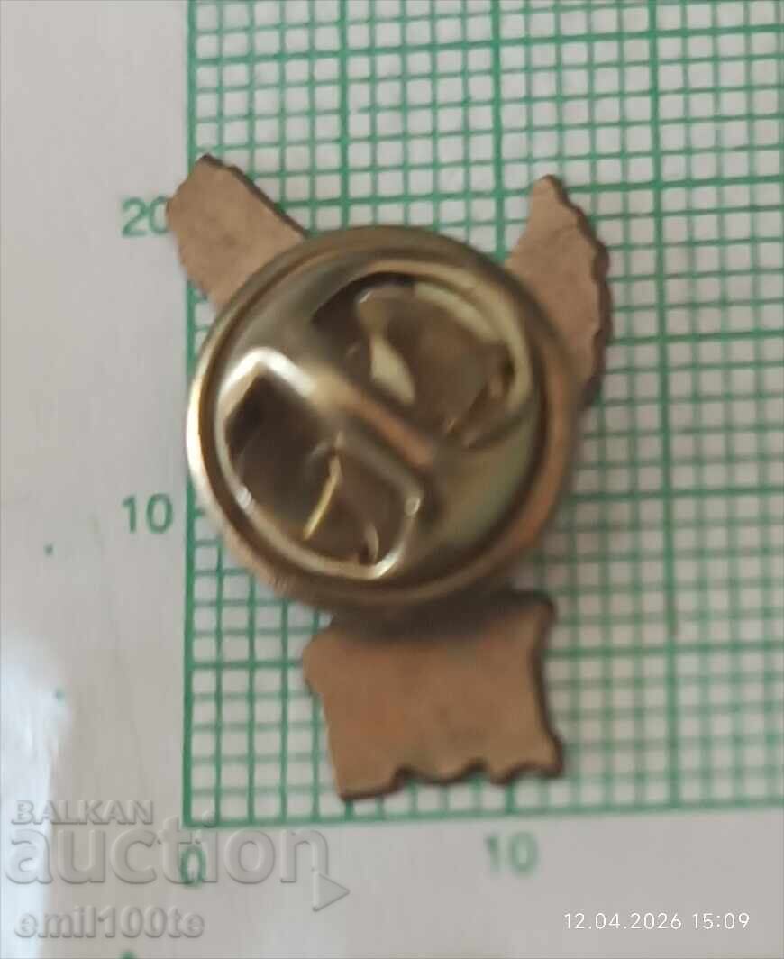 Livrarea Insignă - DOI Direcția Operațiuni de Căutare