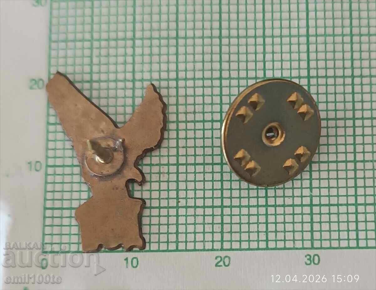 Insignă - DOI Direcția Operațiuni de Căutare - 5