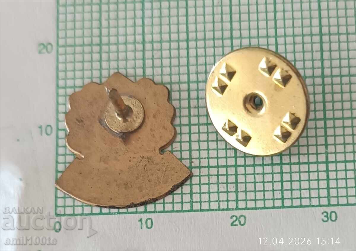 Badge - RUG Regional Forestry Directorate Sofia - 7