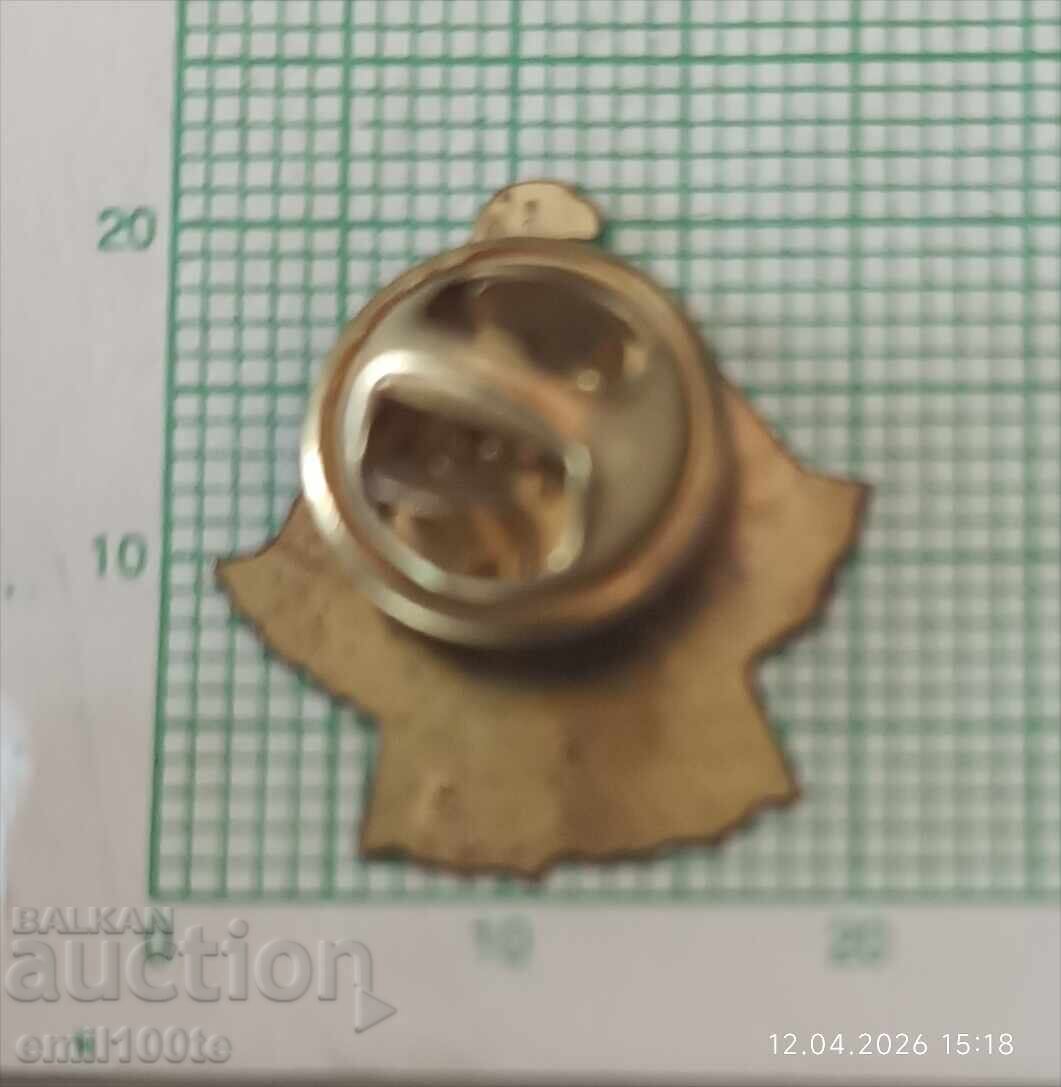 Значка- 40 години Национален парк Пирин - 6