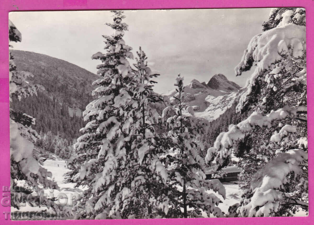 Livrarea 324236 Munții RILA - Societatea de turism "Edelweiss" Fotoizdat A-1