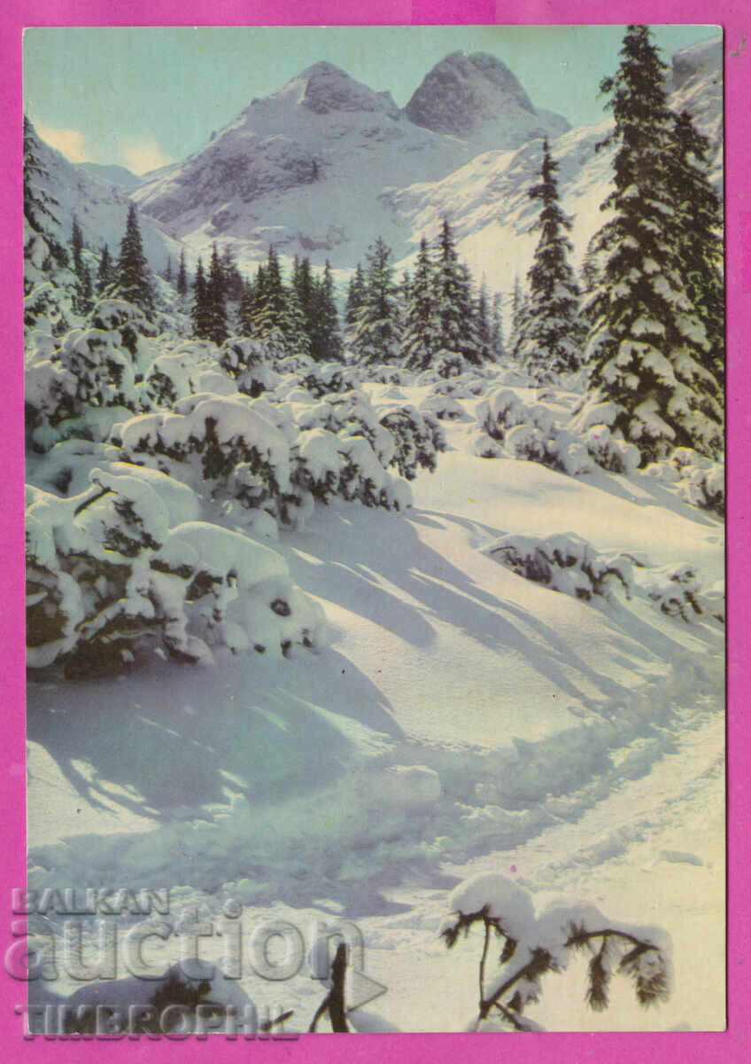 324237 / РИЛА планина - Зимен пейзаж Фотоиздат Акл-2031