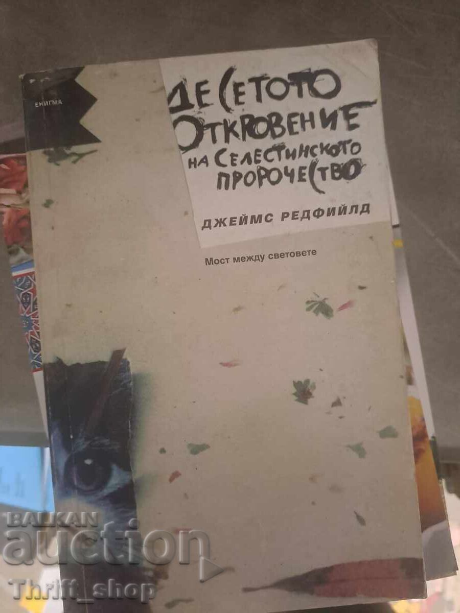 A zecea revelație a profeției celestine