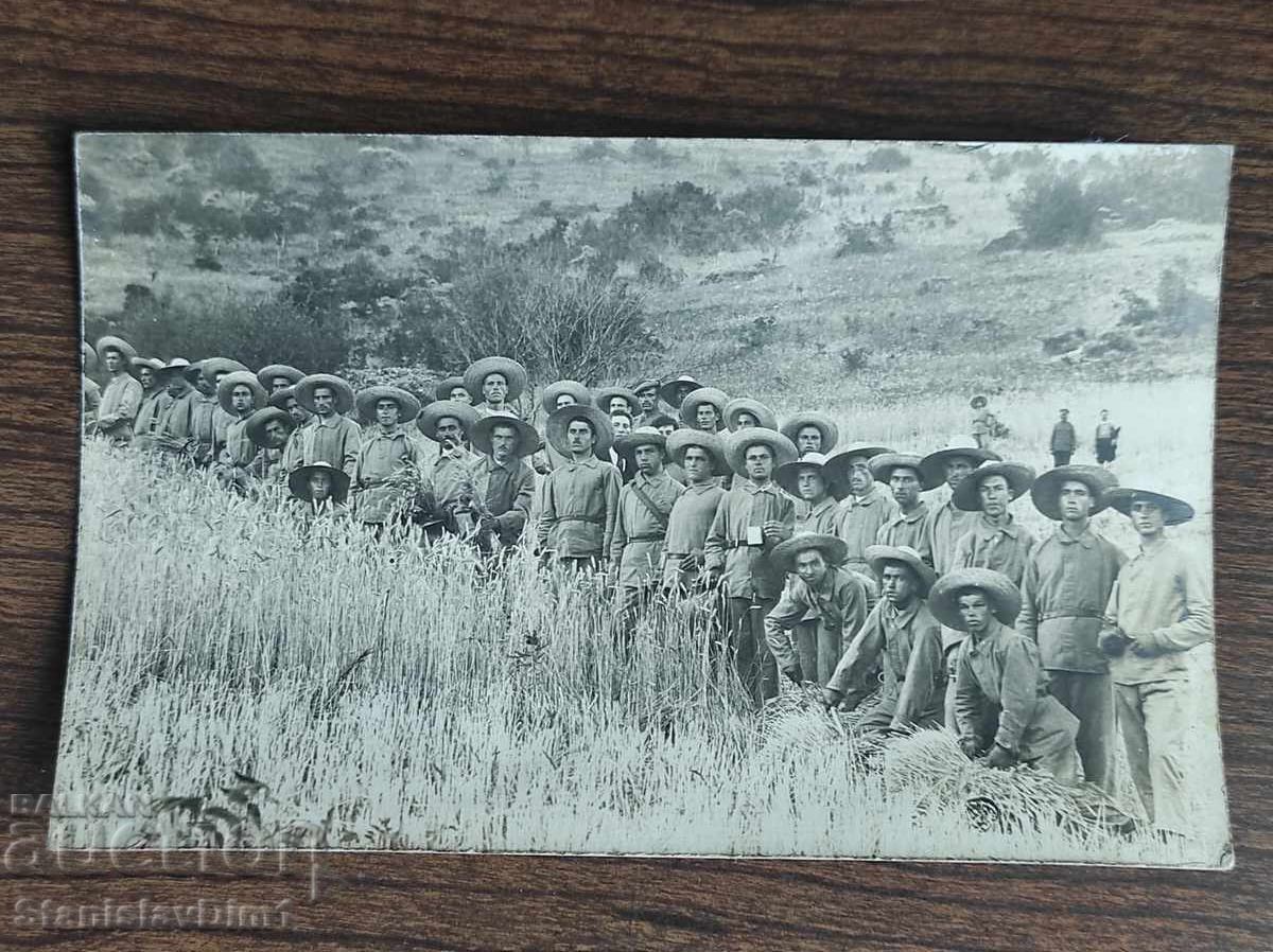 Παλιά φωτογραφία Βασίλειο της Βουλγαρίας -