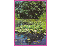 324243 / ποταμός ΡΟΠΟΤΑΜΟ - Νούφαρα "Bulg fotogr" Akl-2011