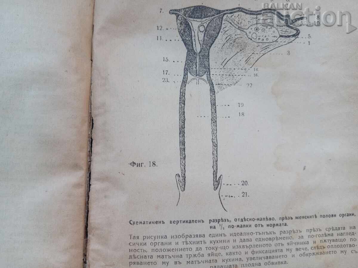 Auction  Medical book textbook circa 1908
