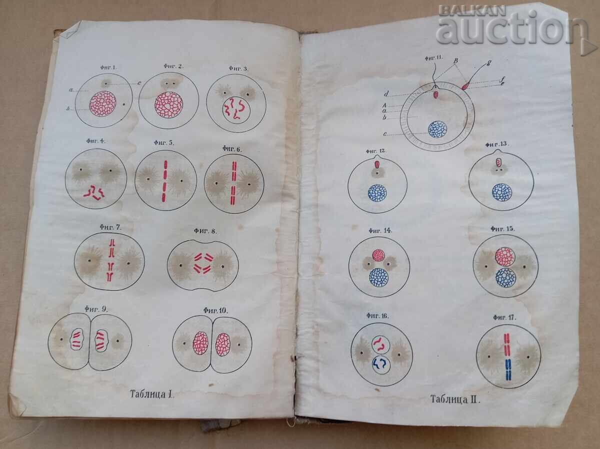 Delivery of Medical book textbook circa 1908