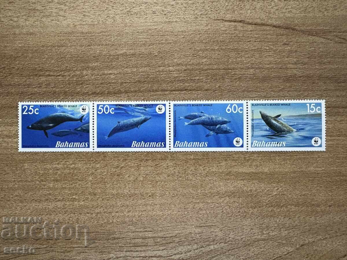 Μπαχάμες - Κιτ Κλειδωτήρας Blainville (2007) MNH