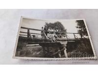 Fotografie tineri și tinere pe un pod de lemn