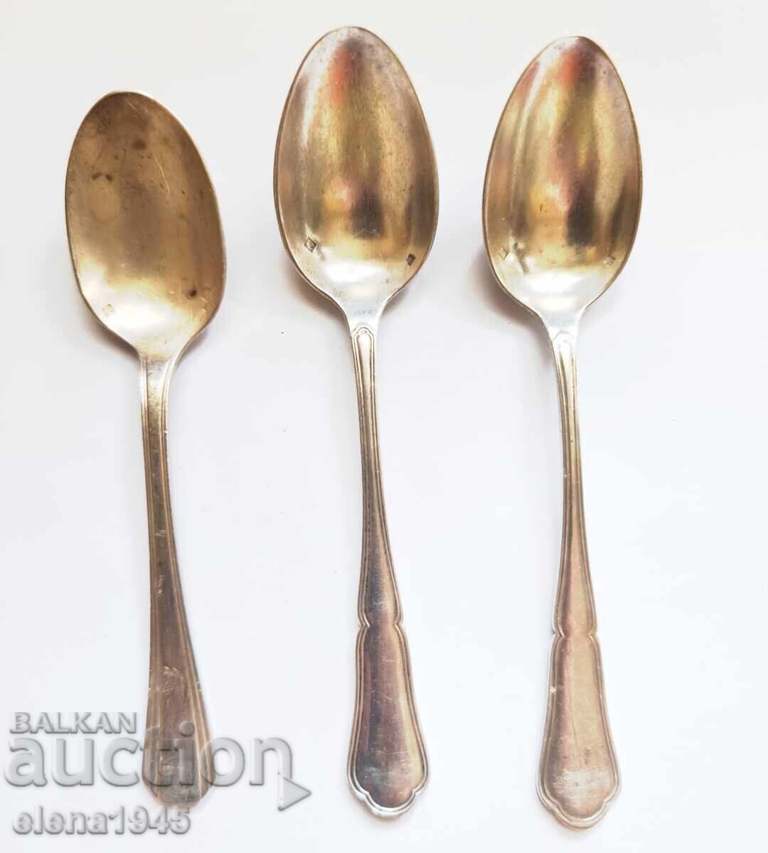 Vesela placata cu argint - 5