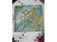 Pun în vânzare peste 100 de discuri de vinil. Preț super mic. OPRESC LICITAȚIA