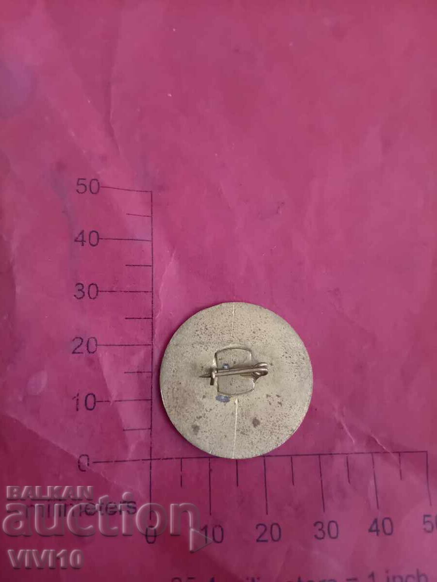 Καρφίτσα για εξαιρετική εργασία με τιμή € 5.00 | 9.78 BGN