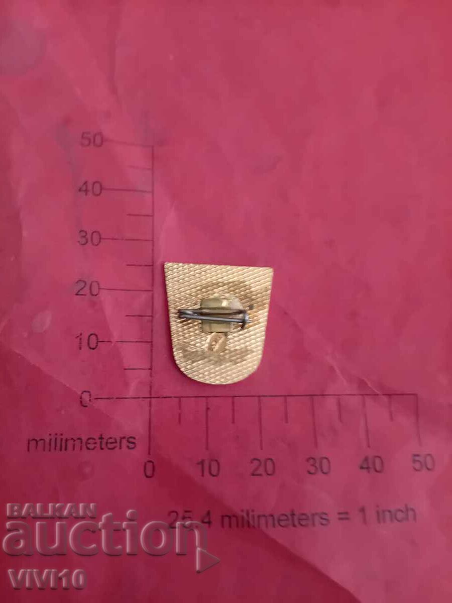 Κονκάρδα, σμάλτο για πολιτιστικές υπηρεσίες με τιμή € 10.00 | 19.56 BGN