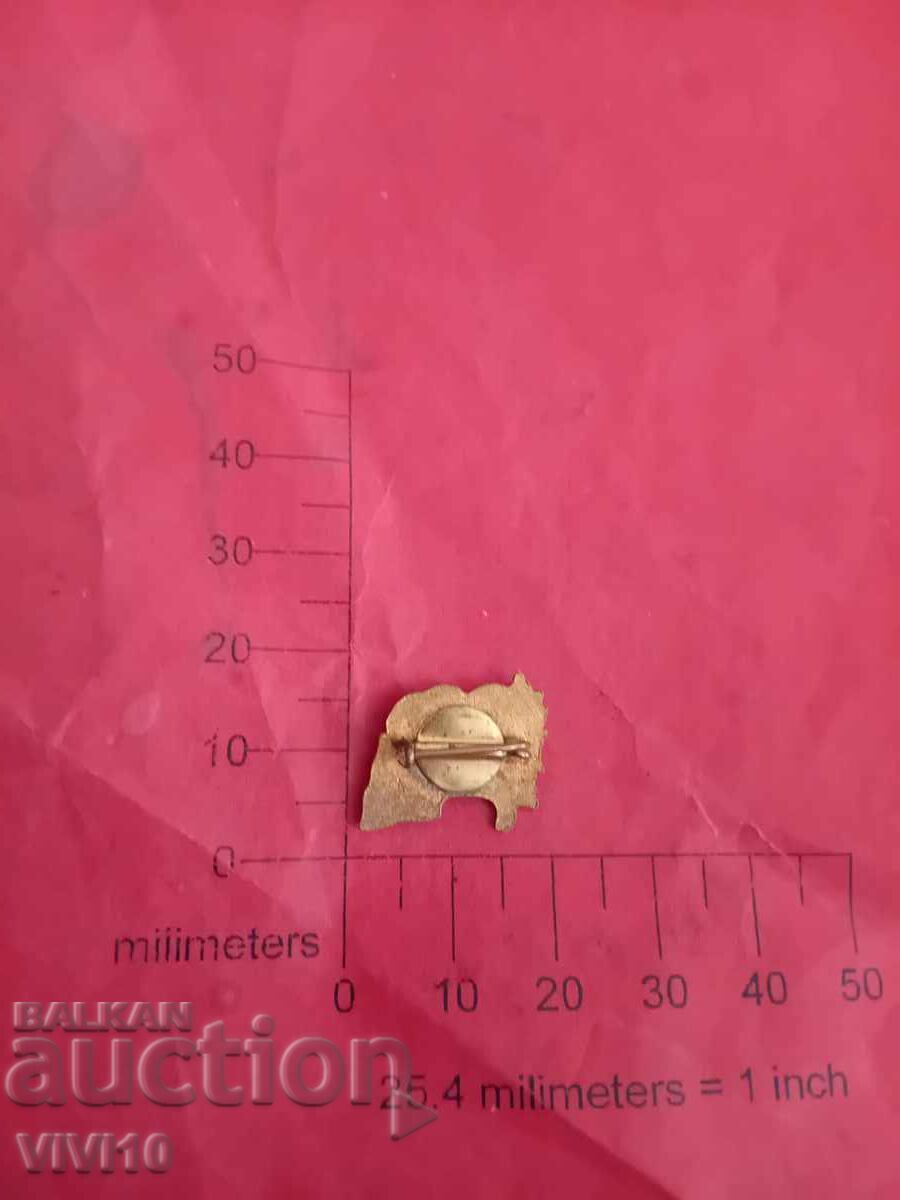 Insignă, prietenie eternă, email cu preț € 5.00 | 9.78 BGN