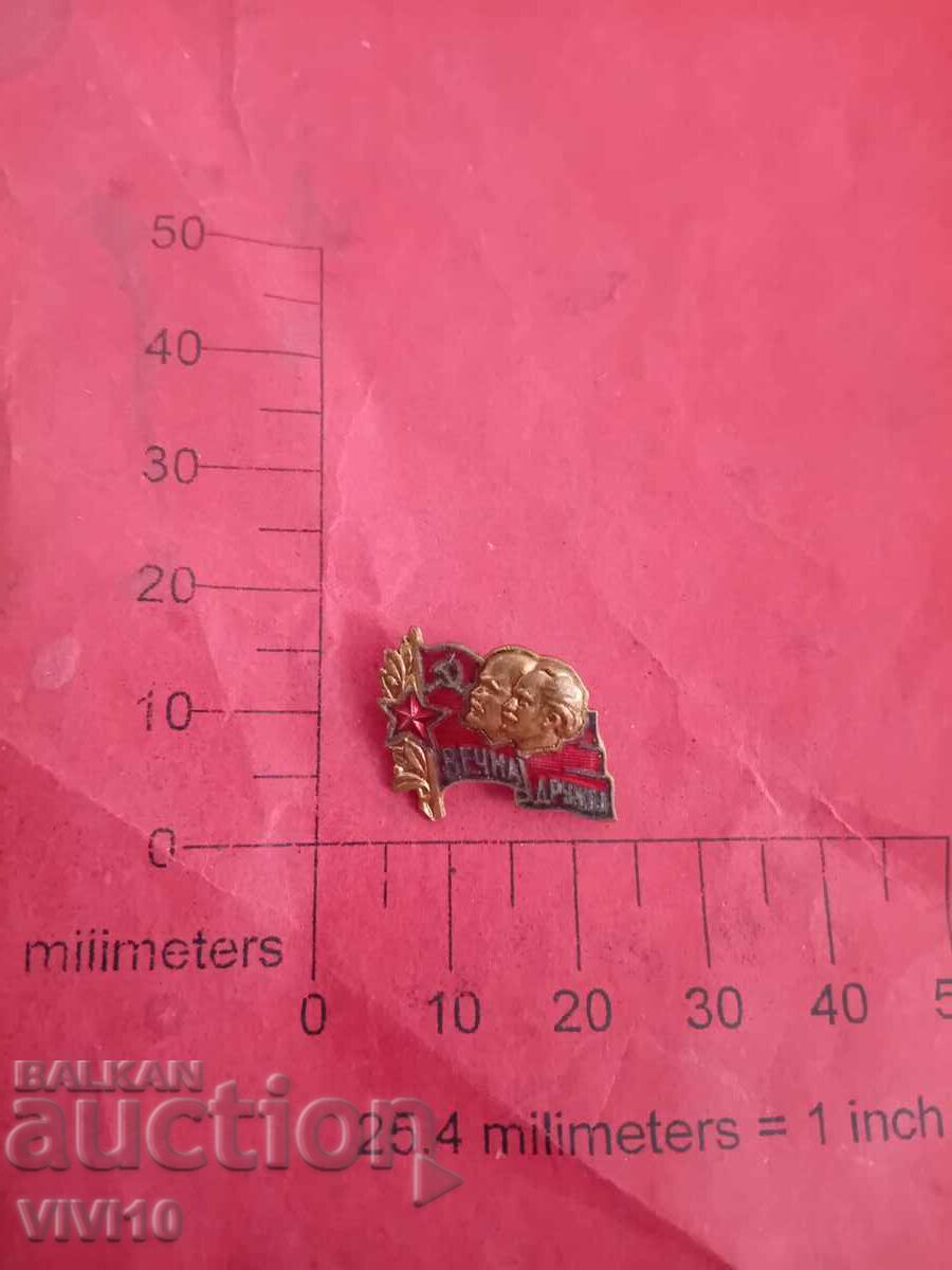 Значка, вечна дружба,емаил