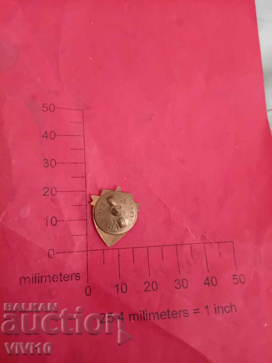 Значка ГСО,емаил с цена € 10.00 | 19.56 лв.