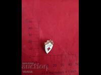 Κονκάρδα GSO, σμάλτο