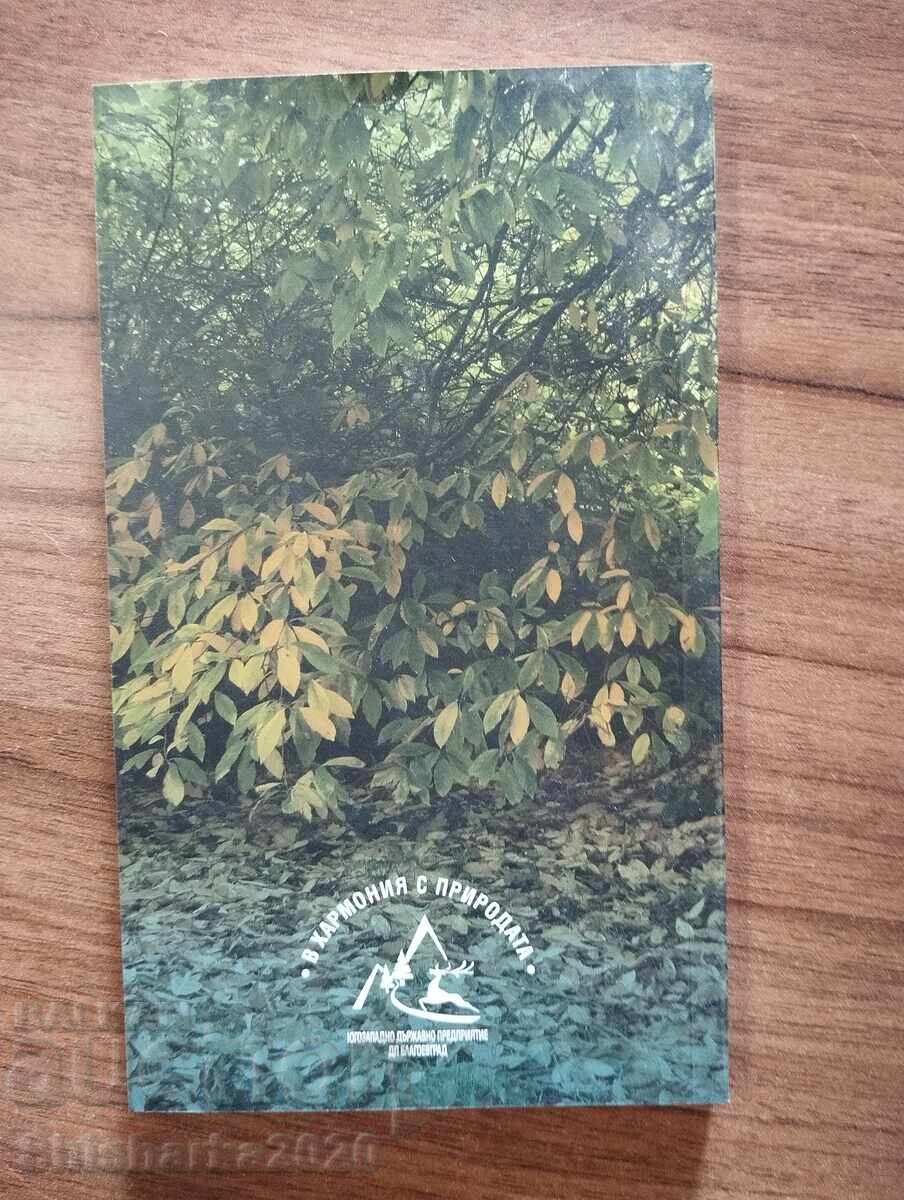 Любопитни факти за горите с цена € 23.00 | 44.98 лв.