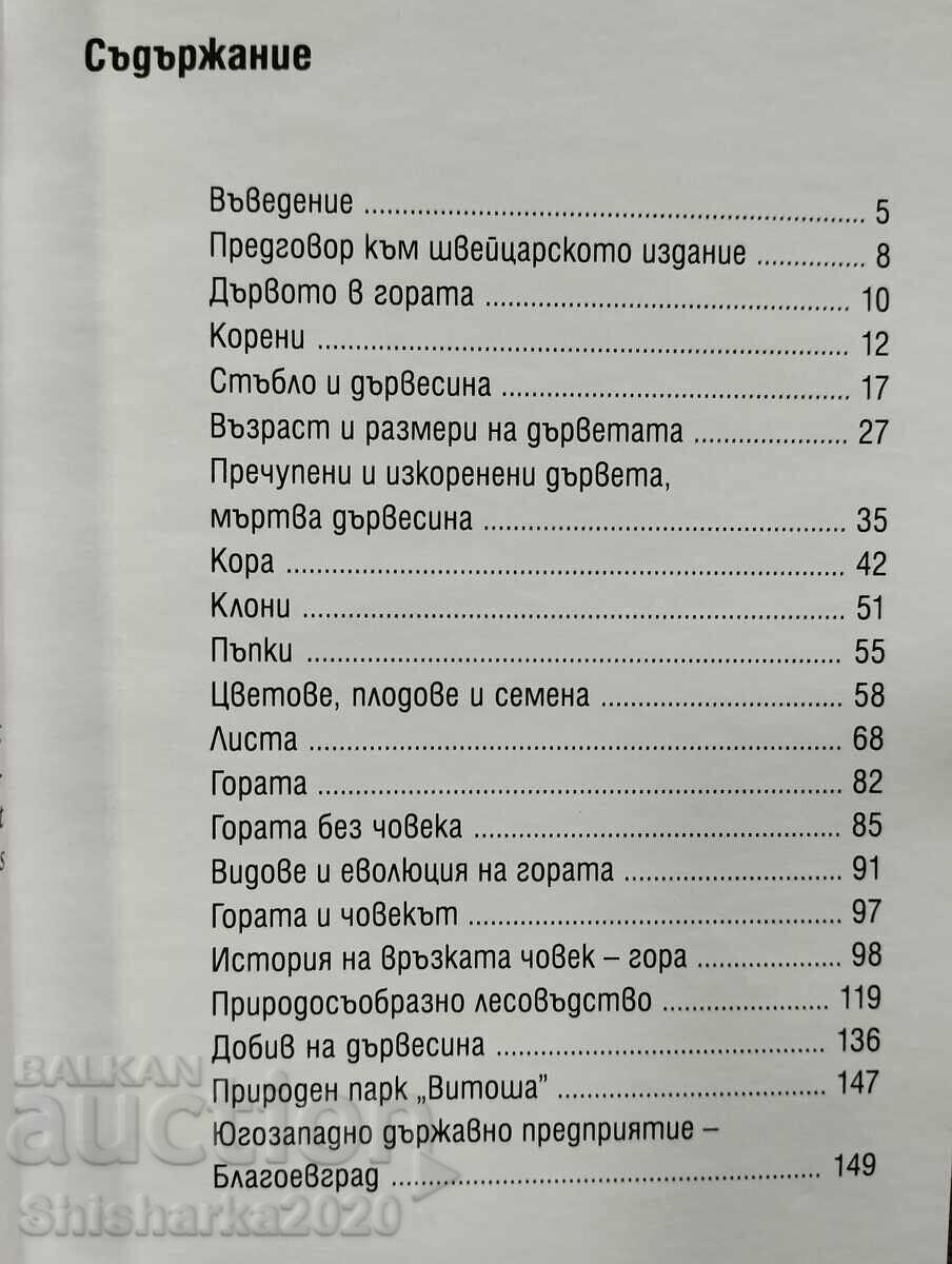 Delivery of Curious facts about forests