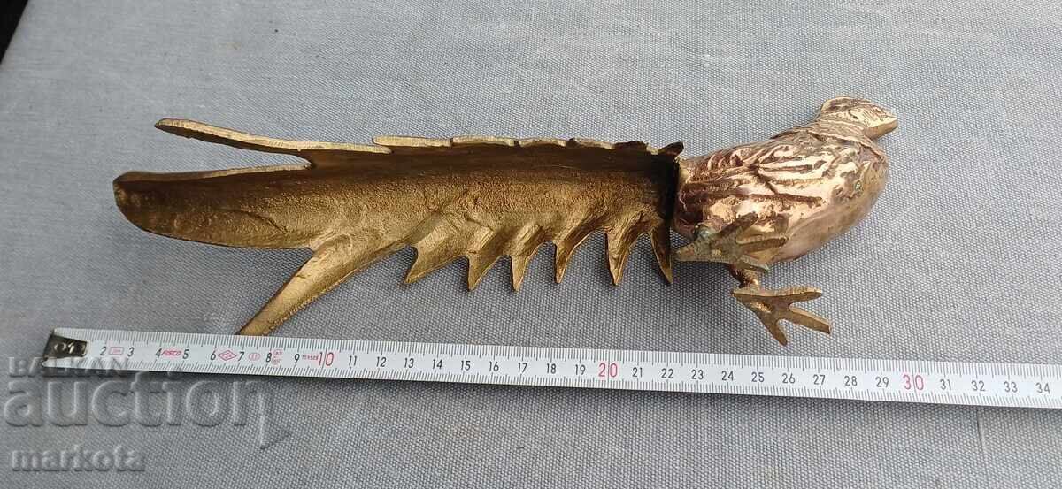 Large bronze pheasant - 5 Large bronze pheasant - 5