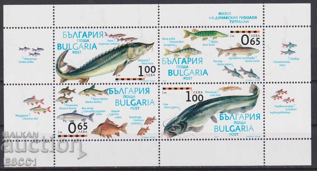 Clean block of Danube River fishing, 2011, from Bulgaria