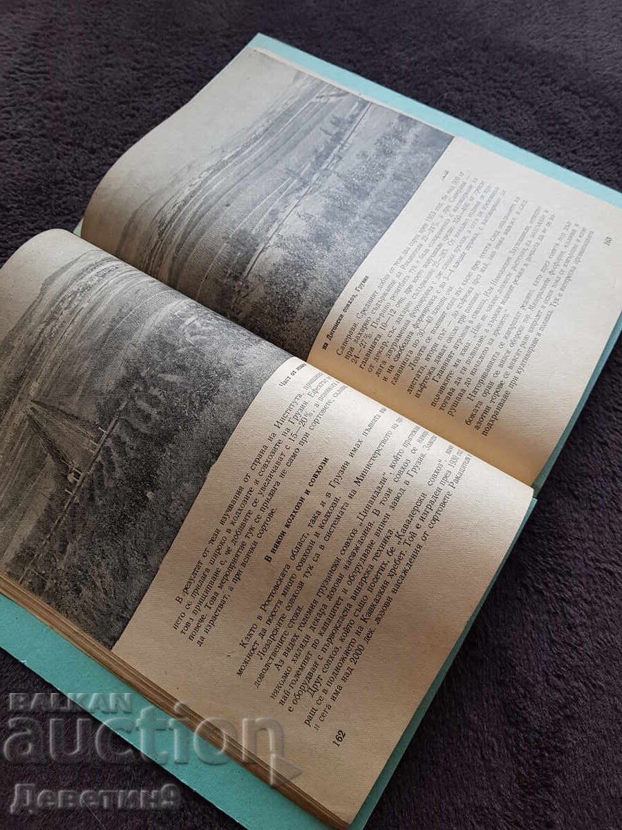 Παράδοση Περιοδικό "Αμπελουργία και Οινοποιία" - Τεύχος 3, 1954