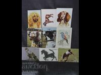 Лот календарчета животни