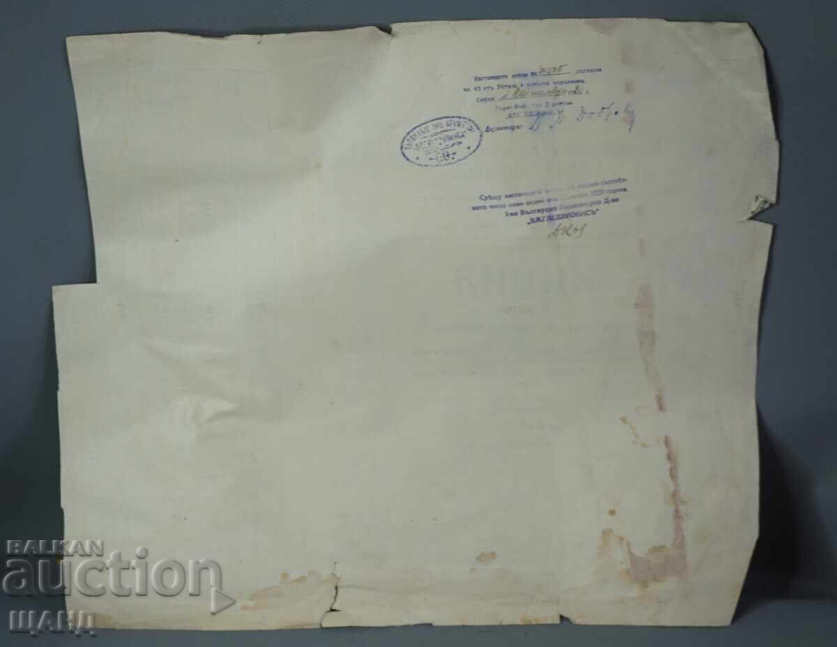 1924 Μετοχή Ανώνυμης Εταιρείας Vŭgledvuokis 100 λέβα - 5