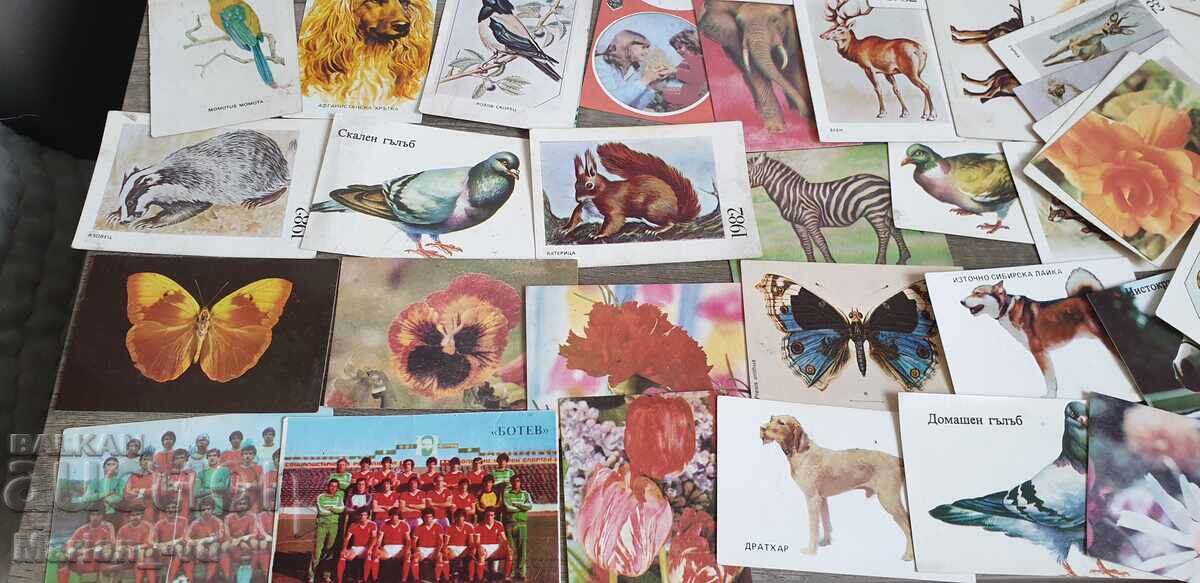 Licitație Calendar - 82 bucăți din 1983 până în 1986 Licitație Calendar - 82 bucăți din 1983 până în 1986