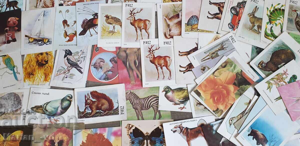 Calendar - 82 bucăți din 1983 până în 1986 - 6 Calendar - 82 bucăți din 1983 până în 1986 - 6