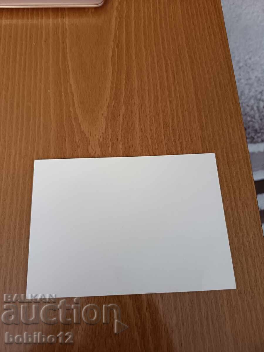 Licitație carte poștală Nevena Kokanova
