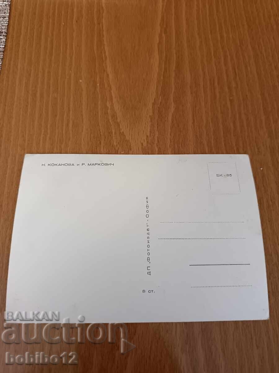 Доставка на пощенска картичка Невена Коканова и Раде Маркович