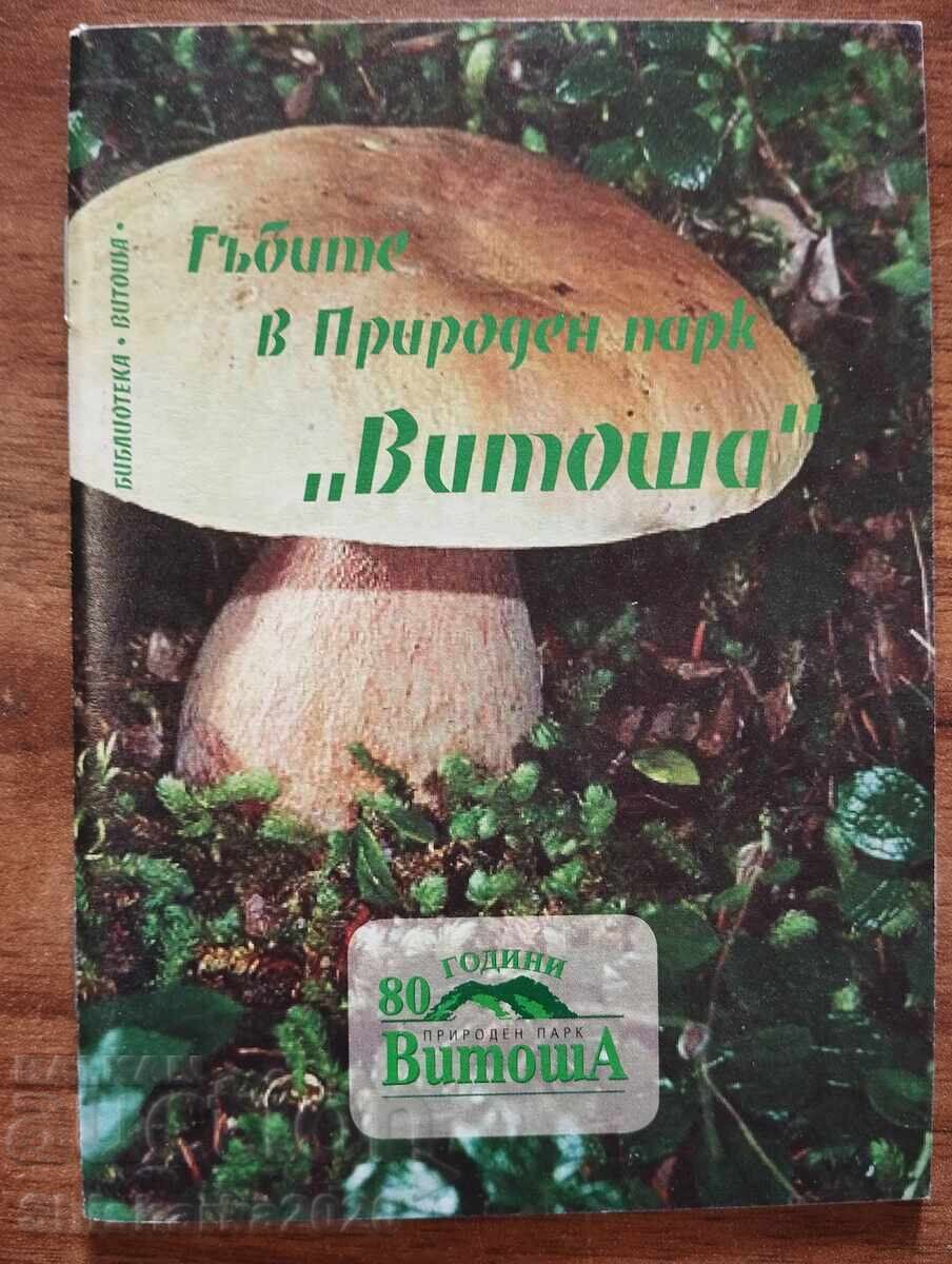 Гъбите в природен парк "Витоша"