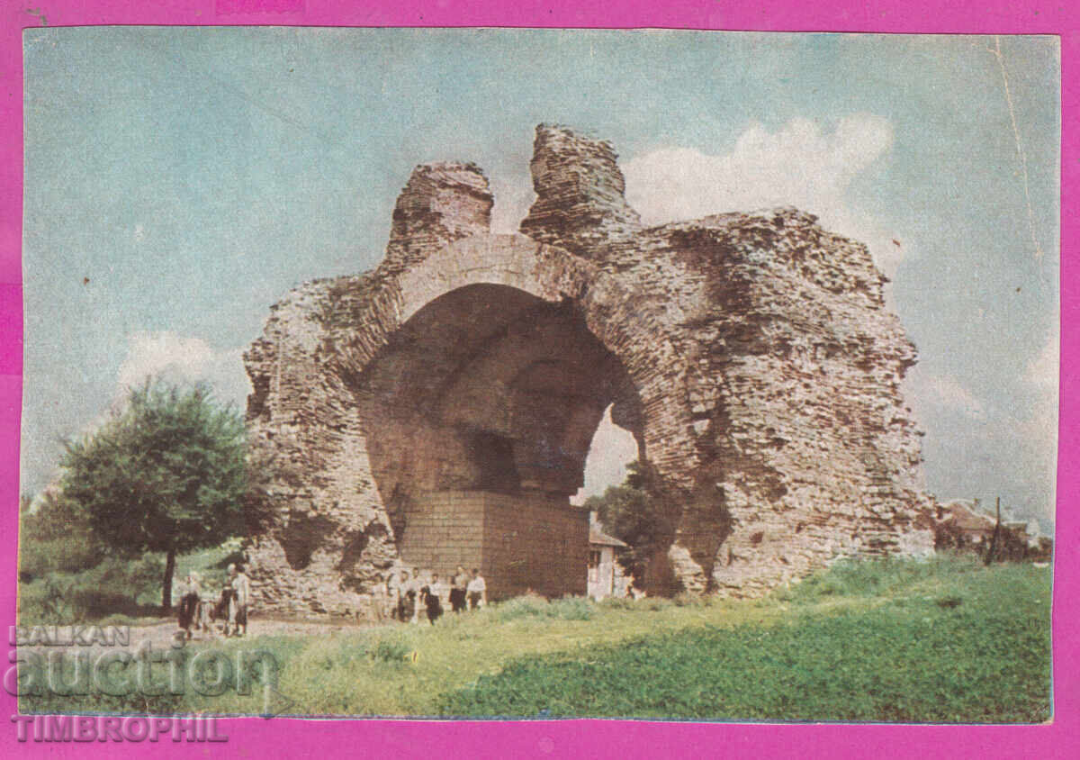 324311 / HISARYA - "The Camels" Science and Art