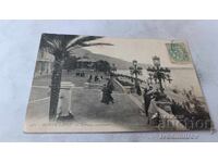 Καρτ ποστάλ Monte-Carlo Terrasses Superieures 1904